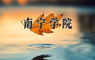 2024南宁学院录取分数线，重庆录取最低分436