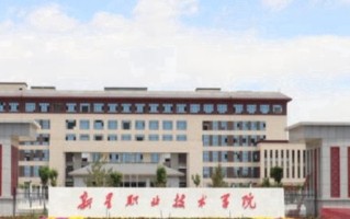 2024年新星职业技术学院录取分数线，新疆最低166分