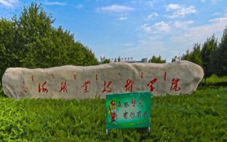 2024年乌海职业技术学院录取分数线，新疆最低161分