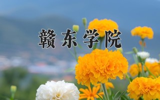 赣东学院最厉害的专业-2024赣东学院最好专业