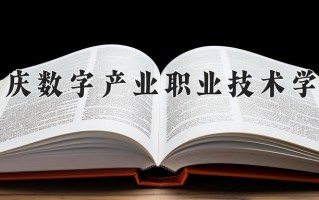 2024重庆数字产业职业技术学院录取分数线，重庆录取最低分180