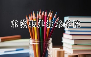 2024东莞职业技术学院录取分数线：山西最低310分