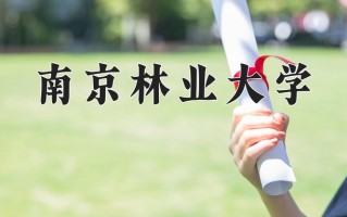 林产化工专业学费多少？附江苏2024年招收的大学
