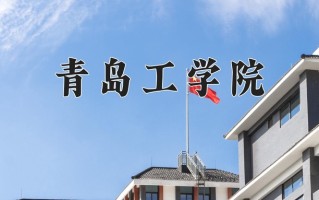 青岛工学院最厉害的专业-2024青岛工学院最好专业
