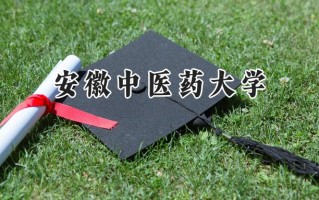 安徽中医药大学2024在浙江录取分数线是多少？最低540分/最高605分
