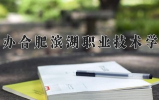 2024年民办合肥滨湖职业技术学院招生章程，附办学层次和录取规则