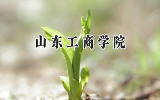 2024山东工商学院录取分数线：宁夏最低410分