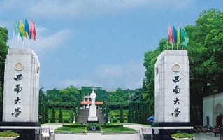 2025年西南大学学科排名（全国第四轮评估结果)