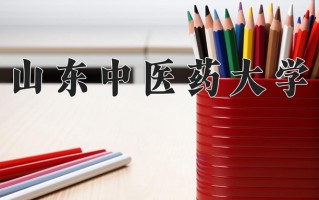 山东中医药大学全国排名(含山东中医药大学最强专业解析)