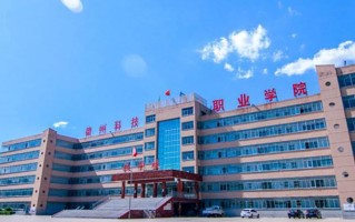 2024年德州科技职业学院录取分数线，河北最低333分