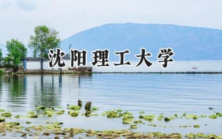 沈阳理工大学2024在福建录取分数线是多少？最低493分/最高576分
