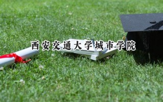 西安交通大学城市学院2024在山东录取分数线是多少？最低456分/最高498分
