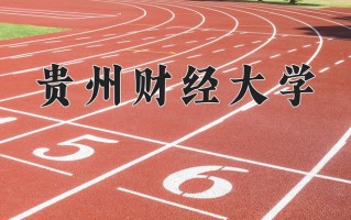 贵州财经大学王牌专业排名-含2024年全国各省录取最低分数线