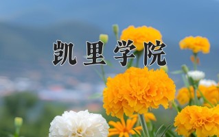 凯里学院全国排名和最强专业解析