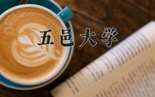 五邑大学最厉害的专业-2024五邑大学最好专业