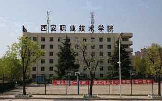 2024西安职业技术学院录取分数线，重庆录取最低分316