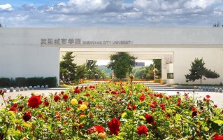 2024年沈阳城市学院录取分数线，河北最低449分