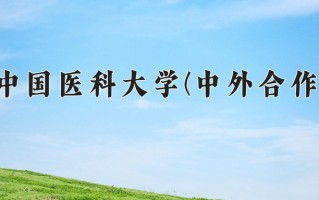 2025年中国医科大学(中外合作)在四川计划招生人数（附学费及专业录取分)