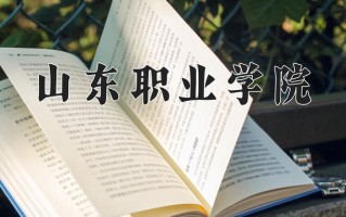 2024山东职业学院录取分数线：浙江最低400分