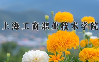 2025年上海工商职业技术学院在四川计划招生人数（附学费及专业录取分)