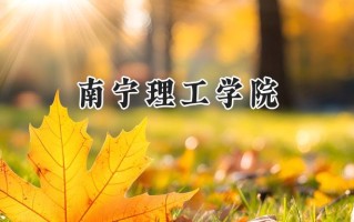 南宁理工学院2024在青海录取分数线是多少？最低325分/最高389分