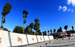 2025年河南高考585分可以上什么大学？附可以上的院校名单