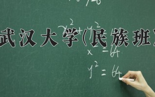 2024武汉大学(民族班)录取分数线，重庆录取最低分638