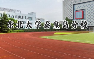 东北大学秦皇岛分校2024在山东录取分数线是多少？最低584分/最高618分