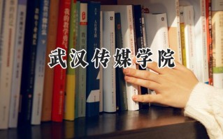 武汉传媒学院2024在福建录取分数线是多少？最低437分/最高482分