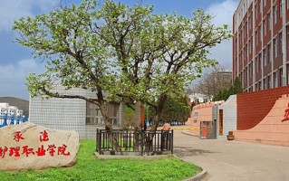 陕西203分能上什么大学？附2025年可以报考的大学名单