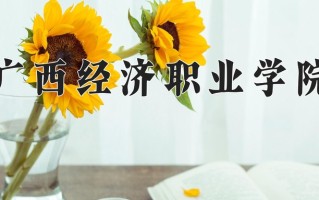2024广西经济职业学院录取分数线：浙江最低269分