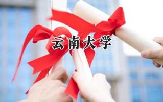 云南大学2024在新疆录取分数线是多少？最低404分/最高516分