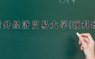 2025年对外经济贸易大学(预科班)在重庆计划招生人数（附学费及专业录取分)