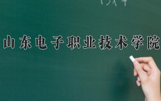 2024年山东电子职业技术学院录取分数线，新疆最低195分