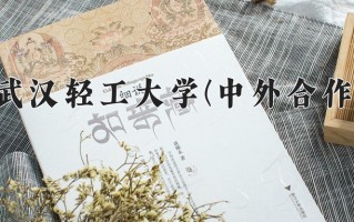 2025年武汉轻工大学(中外合作)在四川计划招生人数（附学费及专业录取分)