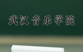 武汉音乐学院全国排名和最强专业解析