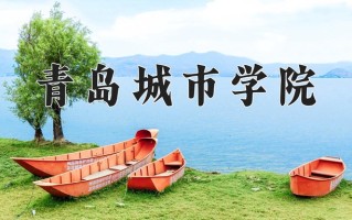 辽宁考生多少分能上青岛城市学院？2025最低400分