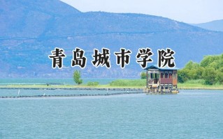 青岛城市学院2024在浙江录取分数线是多少？最低467分/最高564分