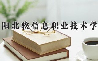 2024沈阳北软信息职业技术学院录取分数线，重庆录取最低分280