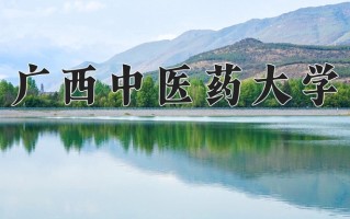 广西中医药大学最厉害的专业-2024广西中医药大学最好专业
