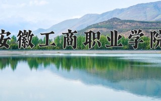 2024安徽工商职业学院录取分数线：浙江最低430分