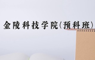 2024金陵科技学院(预科班)录取分数线，重庆录取最低分496