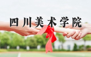 四川美术学院2024年各学科排名一览表！附教育部评级比例