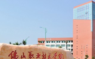 定制旅行管理与服务专业2025年广东招生院校有哪些？含学费及招生人数