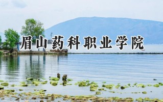眉山药科职业学院2024在青海录取分数线是多少？最低215分/最高286分