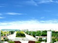 广西231分能上什么好大学？附2025年可以报考的大学名单