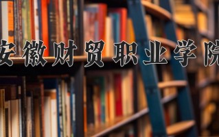 2024年安徽财贸职业学院招生章程，附办学层次和录取规则