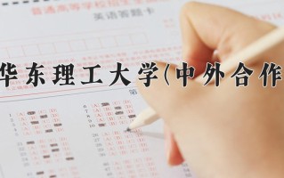 2025年华东理工大学(中外合作)在四川计划招生人数（附学费及专业录取分)