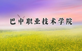 巴中职业技术学院2024在浙江录取分数线是多少？最低295分/最高463分