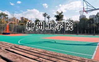 2024柳州工学院录取分数线：天津最低435分